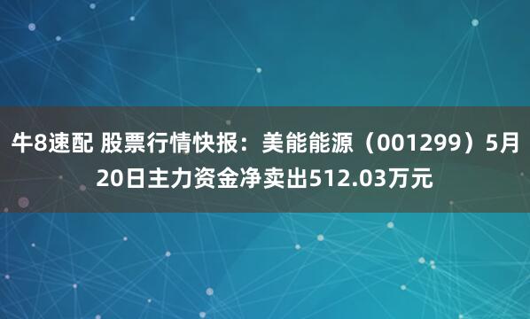 牛8速配 股票行情快报：美能能源（001299）5月20日主力资金净卖出512.03万元